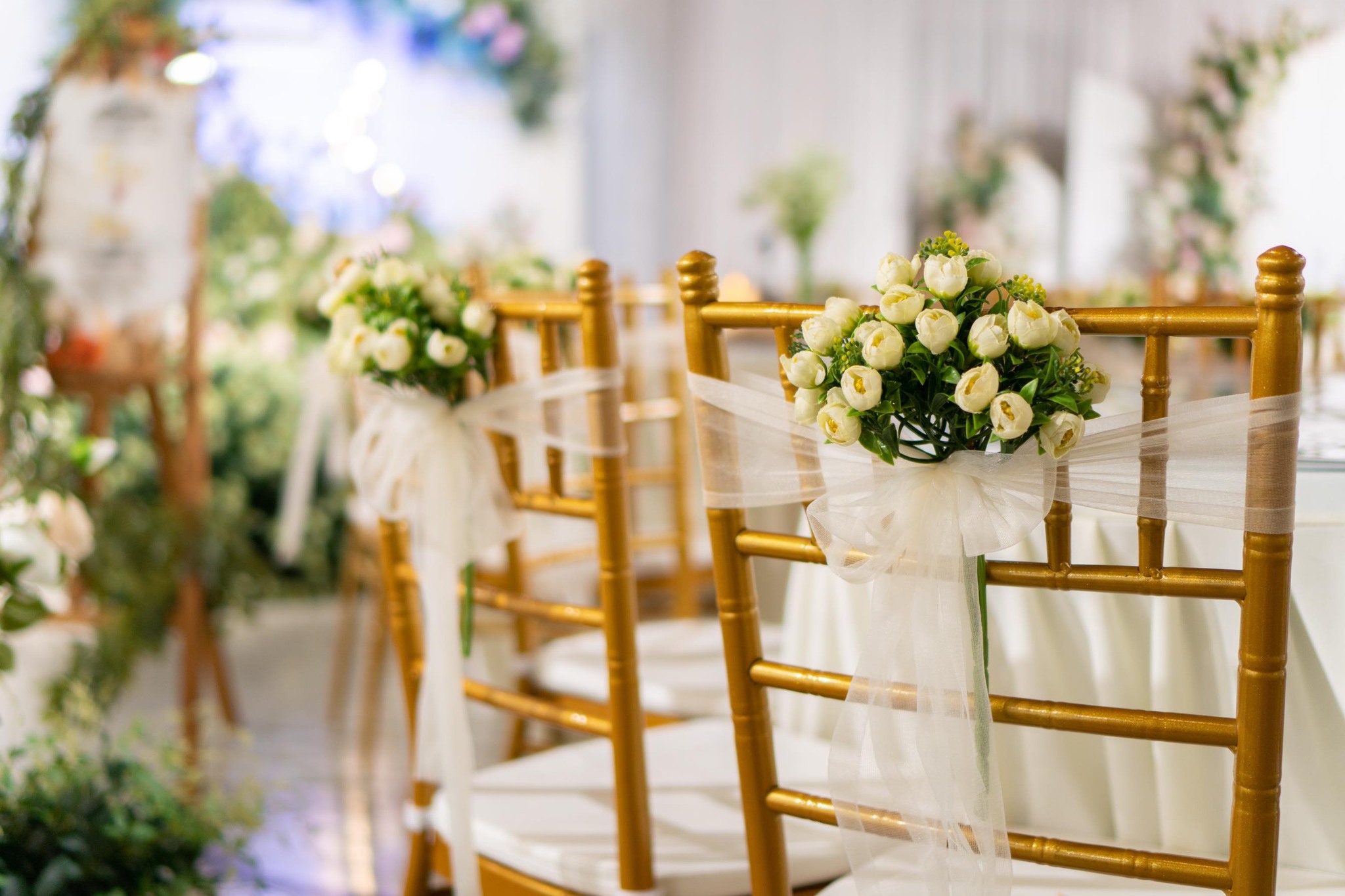 474528089_122187471122180077_448514276696915373_n